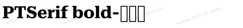PTSerif bold字体转换